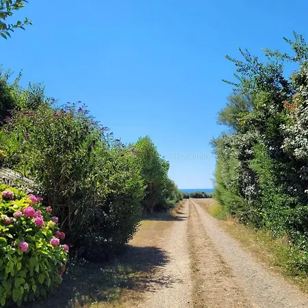 度假居 Tipoz'immo Avel Moor Sea View On Foot Ideal For Groups Tréogat